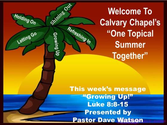 One topical Summer week5cover