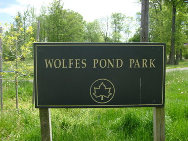 wolfspond park-large