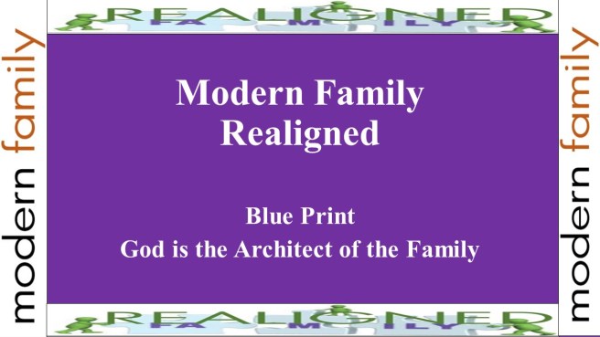modern family realigned pt 1 ed cover